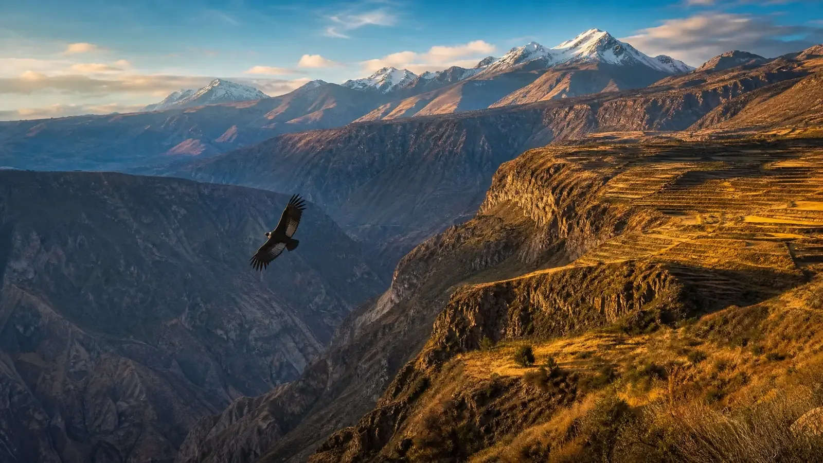 El Cañón del Colca es un impresionante paisaje de montañas y profundos abismos, hogar del majestuoso cóndor andino. Un destino que sorprende por su grandeza y belleza natural.