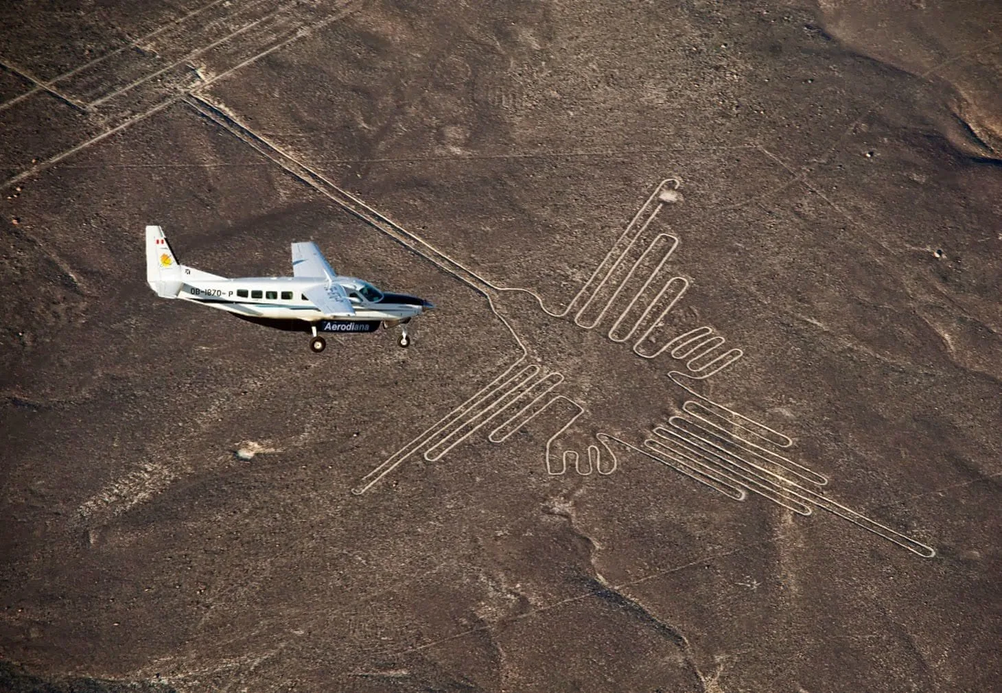 Las Líneas de Nazca son enormes y misteriosos geoglifos trazados en el desierto, que representan animales y figuras geométricas. Un enigma milenario que sorprende por su precisión y majestuosidad.