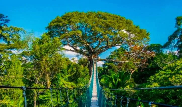 Tambopata 3D/2N