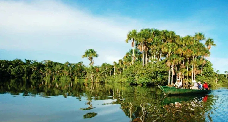 Tambopata 4D/3N