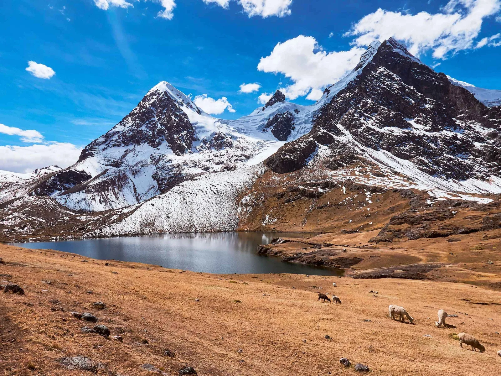 Ausangate Trek 5D/4N — 3