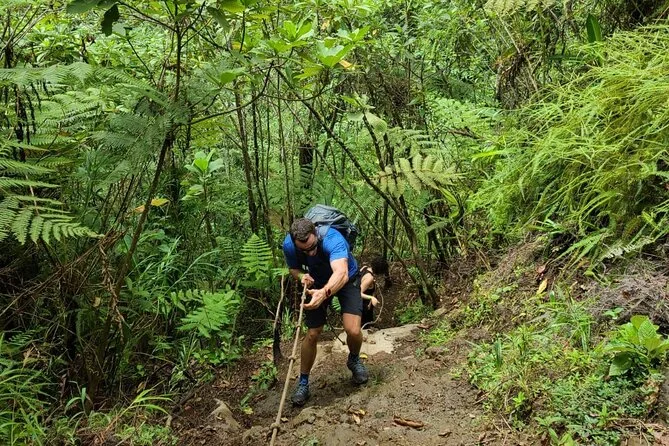 Manu Jungle 4D/3N — 2