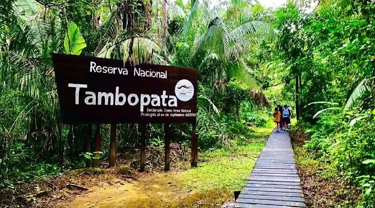 Tambopata 4D/3N — 2